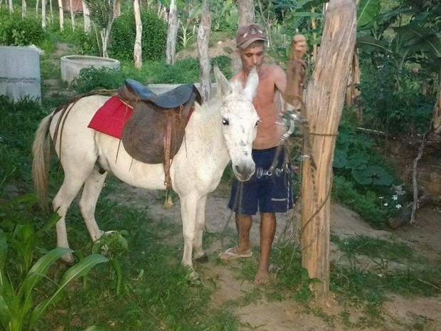 Após ter sido levado de assalto, burro encontrado pela PM dentro de carro Gol volta para casa