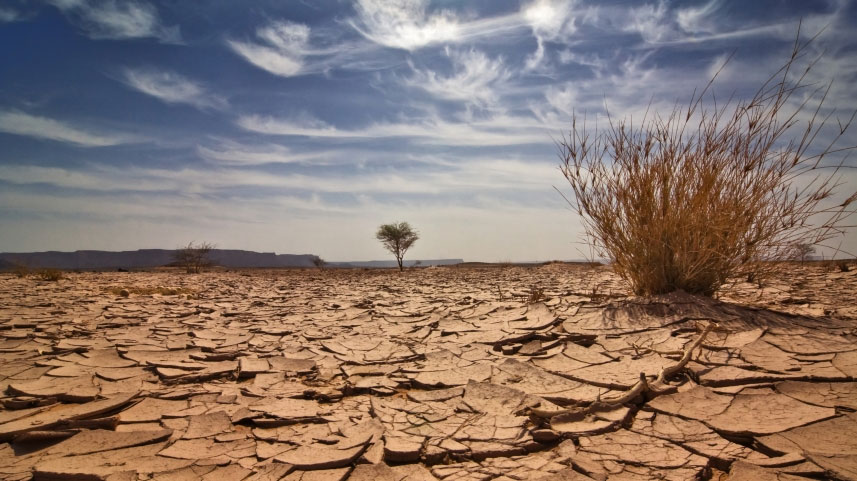 Mais seca no Ceará em 2017