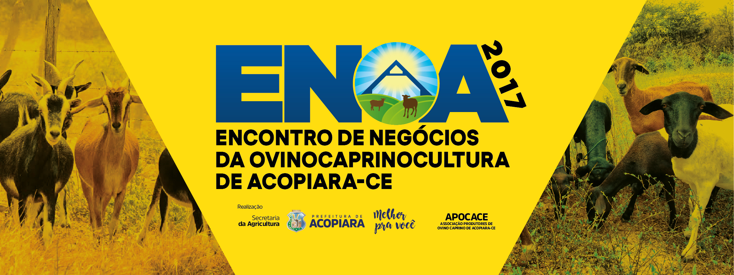 Acopiara realizará 14° Edição do Encontro de Negócios da Ovinocaprinocultura
