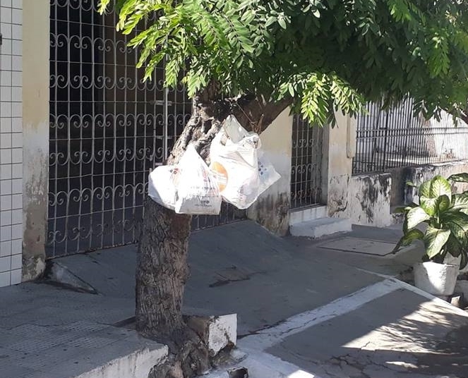 Garis continuam com atividades paralisadas em Quixadá