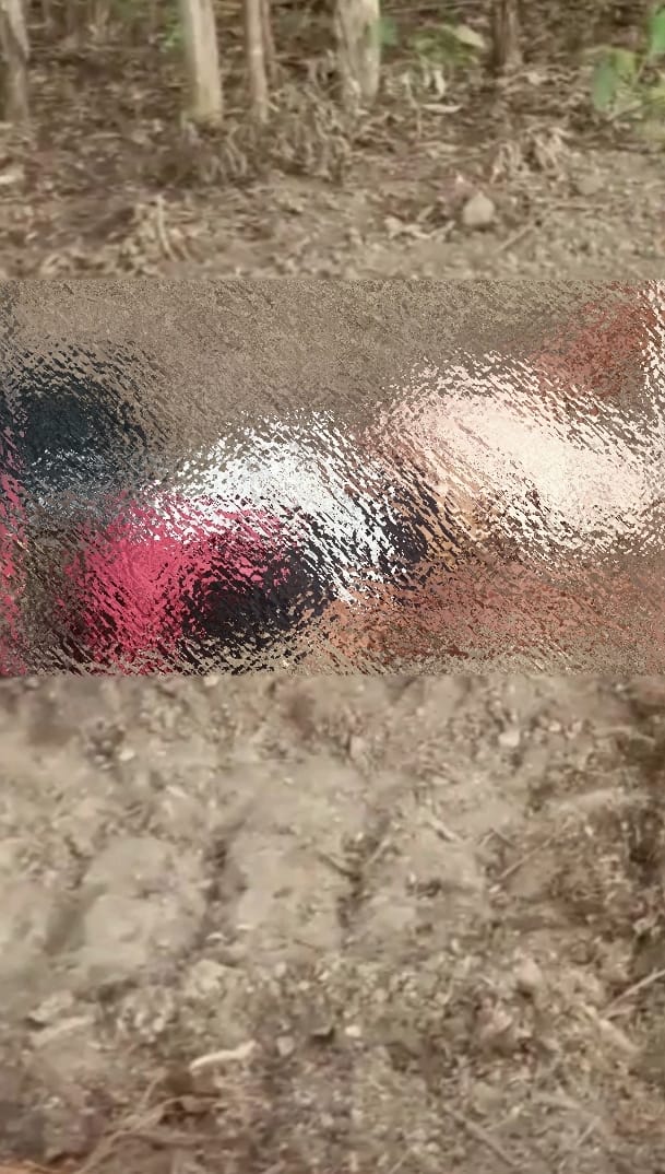 Chocante: Cadáver sem cabeça e sem mãos é encontrado em Milhã