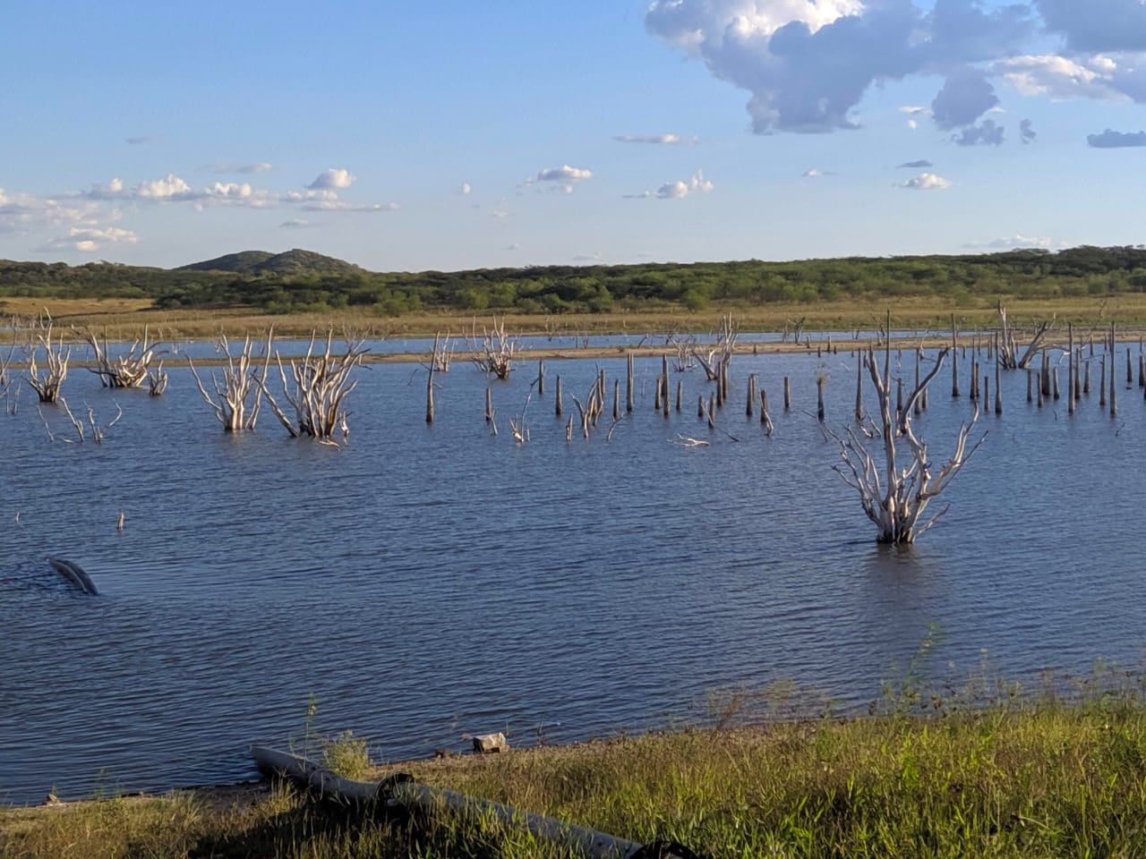 Pescador desaparece no Açude Pedras Brancas, em Quixadá