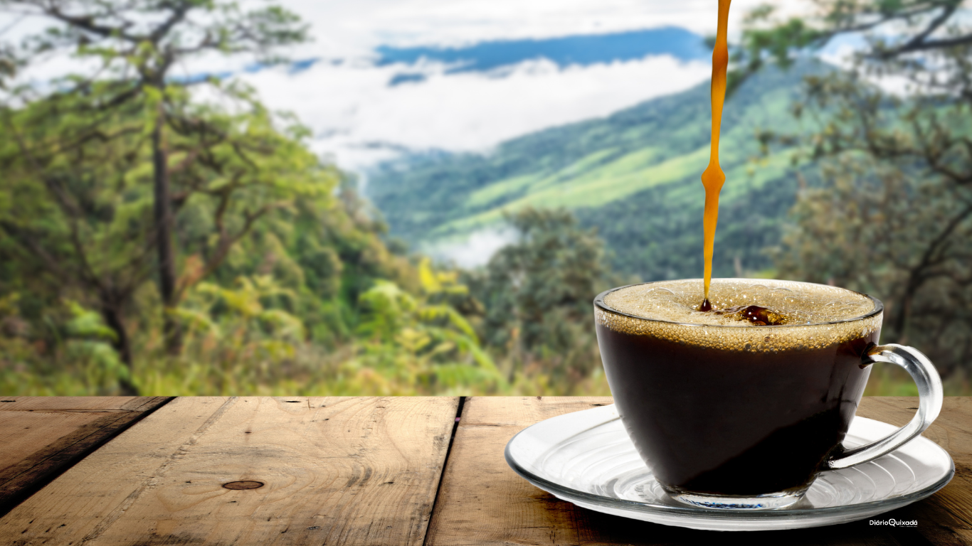 Preço do café sobe quase 40% no mundo e deve se manter alto por pelo menos quatro anos, diz ONU