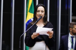 Rosângela Moro apresenta projeto para que SUS comece a acolher ‘pais’ de bebê reborn