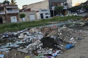 Moradores relatam acúmulo de lixo e mato invadindo ruas e calçadas em bairros de Quixadá e cobram ações