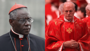 Os dois cardeais mais temidos pelos admiradores de Francisco: menos sorriso e acolhimento e mais tradição e doutrina