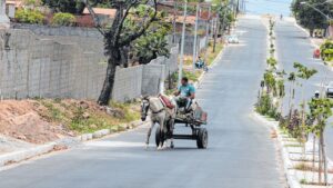 Comissão da Câmara aprova projeto que criminaliza uso de veículo com tração animal