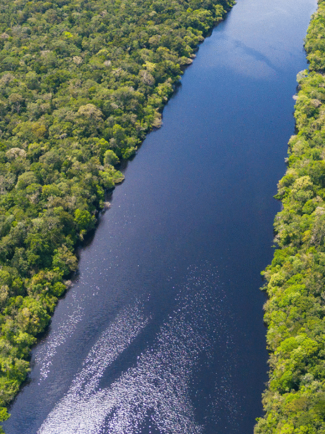 rio amazônia
