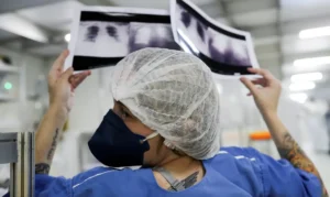 Brasil deve ter 781 mil novos casos de câncer por ano até 2028, aponta Inca