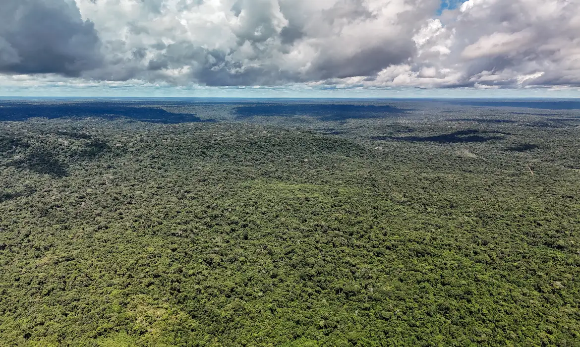 MapBiomas: Amazônia registra menor nível de desmatamento em 41 anos
